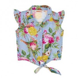 BLUSA FLAMENCOS Y RAYAS