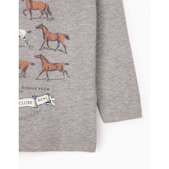 CAMISETA NIÑO MANGA LARGA HORSES