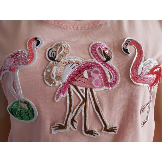 Camiseta flamencos