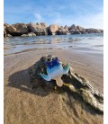 LLAVERO TURTLE OCEAN